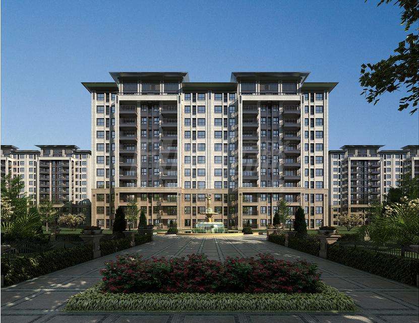 Զ������